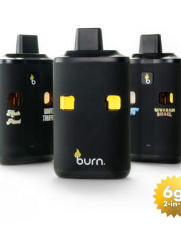 Burn Dual Chamber (3G+3G)  Disposable Vapes