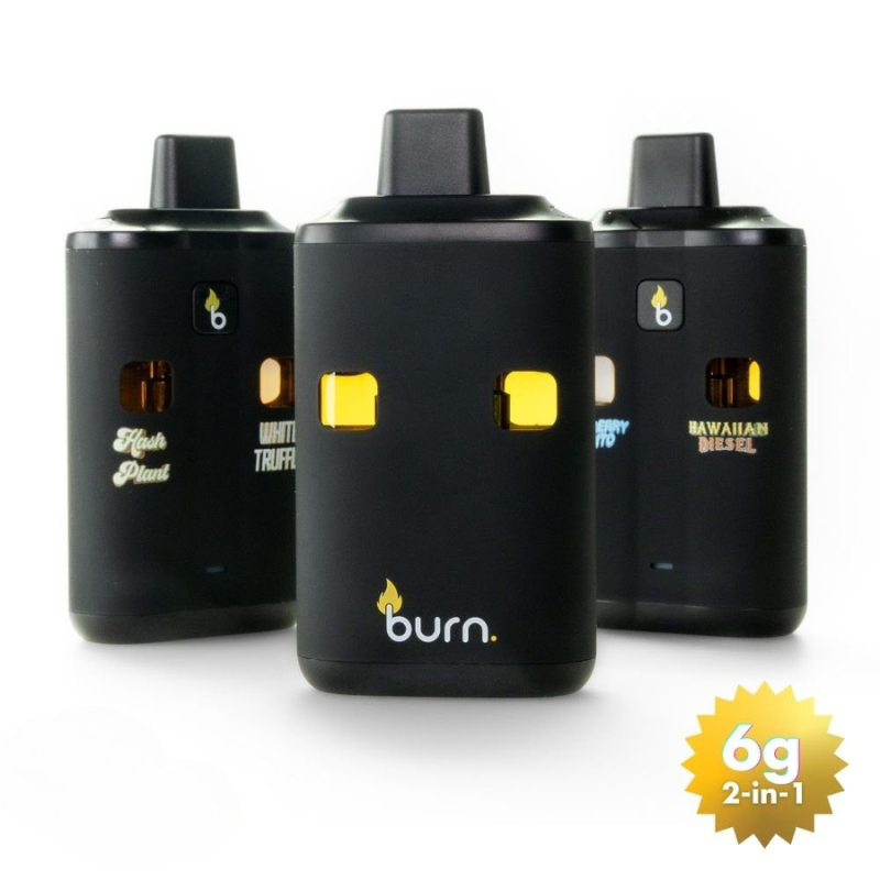 Burn Dual Chamber (3G+3G)  Disposable Vapes