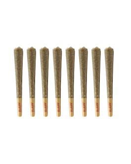 Surrey Select – Premium Regular size Pre-Roll PACK