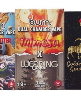 Burn Dual Chamber (3G+3G)  Disposable Vapes