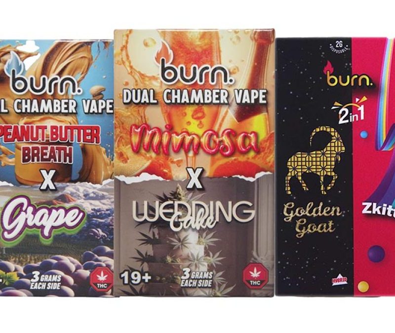 Burn Dual Chamber (3G+3G)  Disposable Vapes